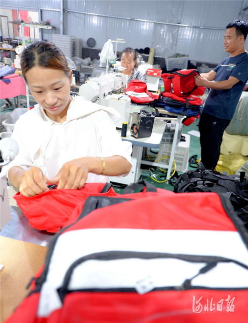 河北邯鄲 微工廠助農(nóng)增收鳳凰網(wǎng)河北 鳳凰網(wǎng)